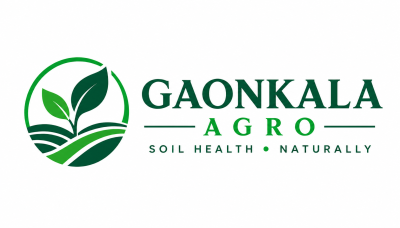 Gaon Kala